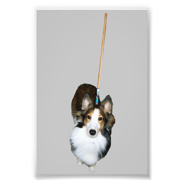 Mop Dog Photo Print (Front)