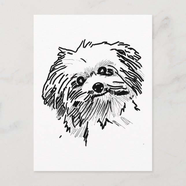 Mop Dog Postcard (Front)
