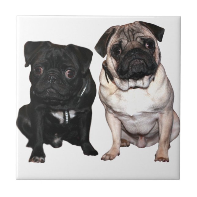Mops Jack and Richi Tile (Front)