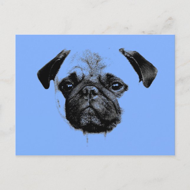 mops puppy babyblue postcard (Front)