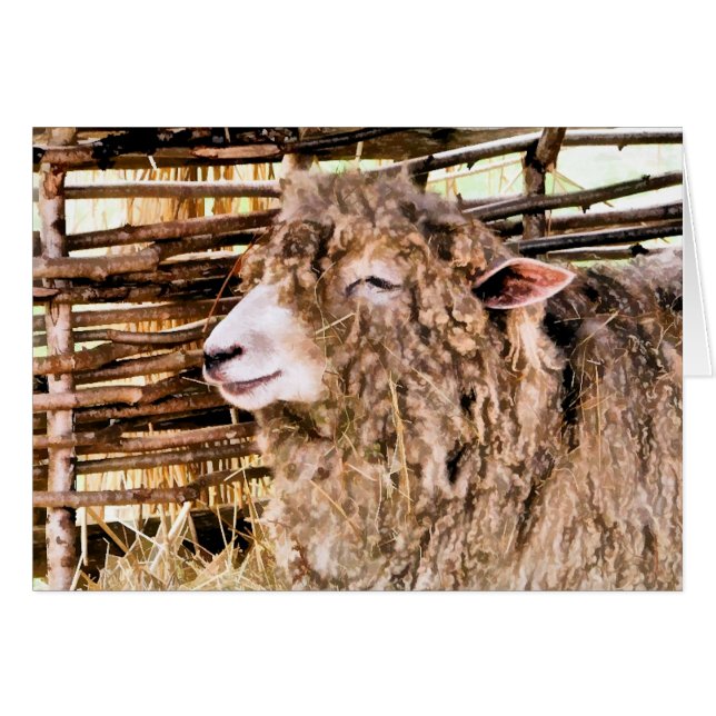 MOQUETTE (Devant horizontal)