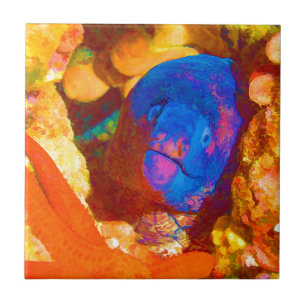 Moray Eel Tile