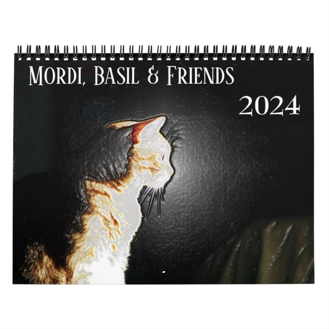 Mordi, Basil & Amis Calendrier Chat 2024 (Protection)