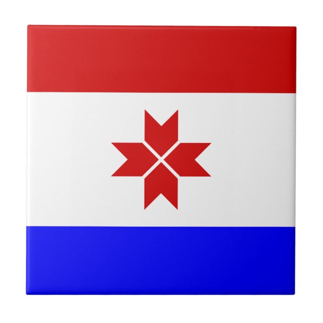 Mordovia Flag Tile (Front)