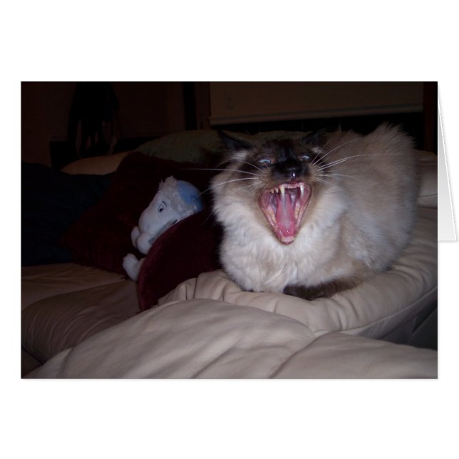 Mords-MOI ! (Devant horizontal)