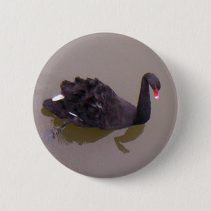 More Black Swan 2 Inch Round Button