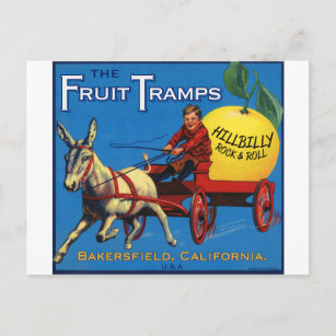 More Fruit Tramp Fun Postcard