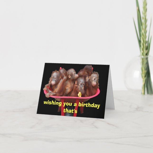 More Fun than a Barrel of Monkeys Birthday Card (Front)