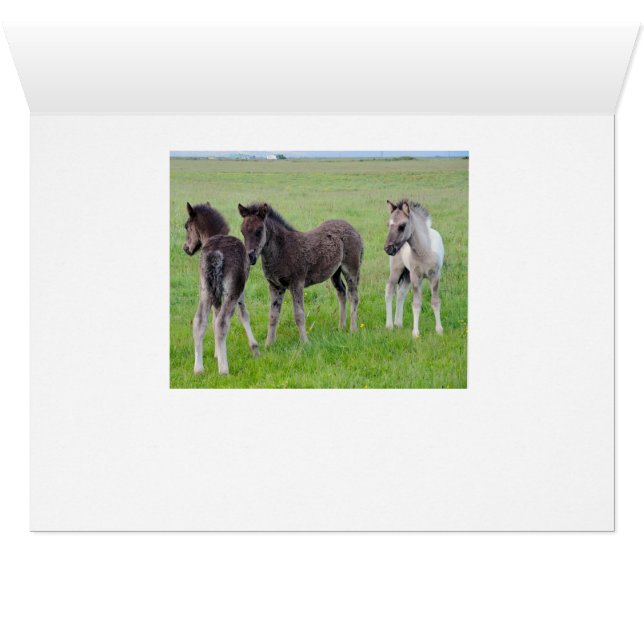 More Horses Galore (Horizontal) (Inside Horizontal (Bottom))