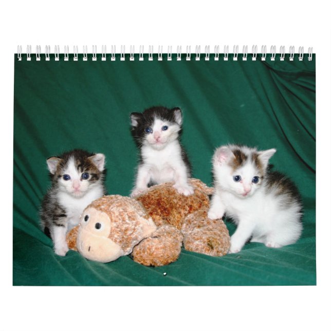 More kittens! calendar (Cover)