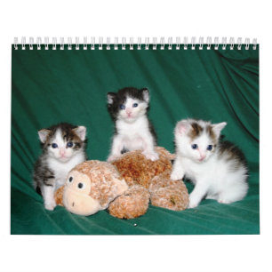 More kittens! calendar
