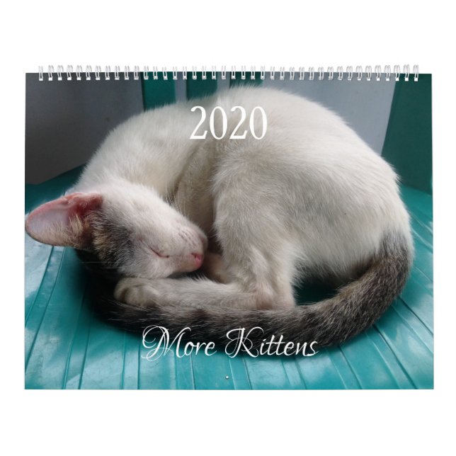 More Kittens Wall Calendar - HAMbyWG (Cover)