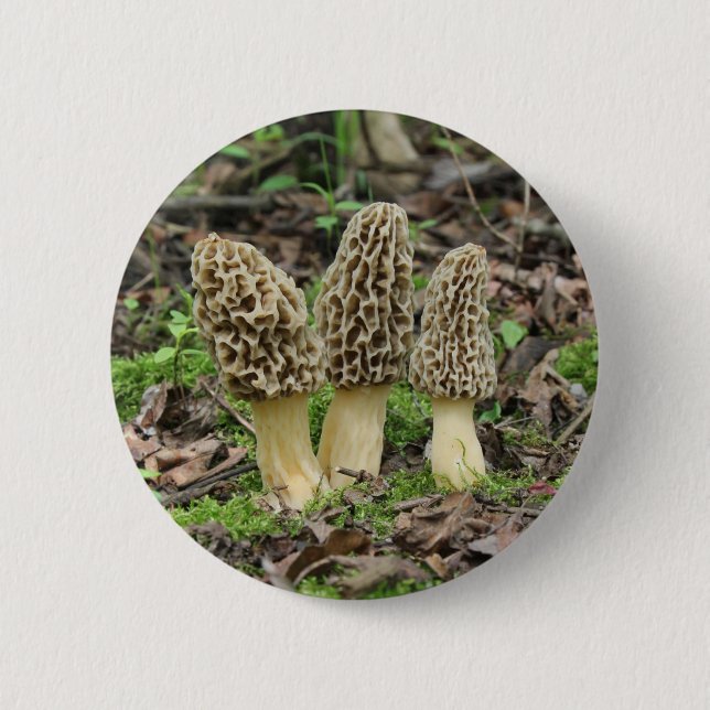 More Morels 2 Inch Round Button (Front)