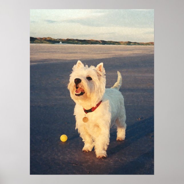 More Please!  Westie Ball Poster (Front)