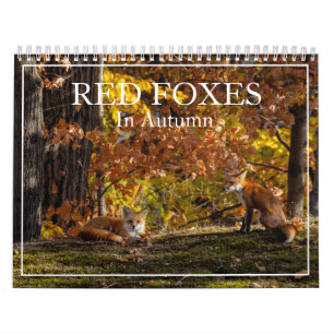 More Red Foxes In Autumn Calendar