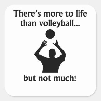 More To Life Than Volleyball Sticker