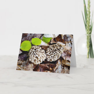Morel Hunter Greeting Card