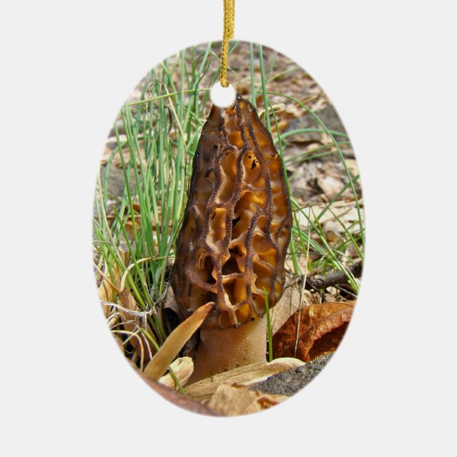 Morel Mushroom Ceramic Ornament (Front)