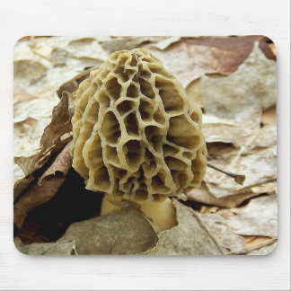 Morel Mushroom Mouse Pad