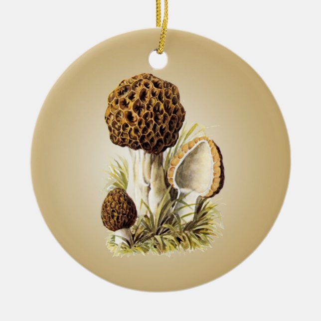 Morel Mushroom Ornament (Front)