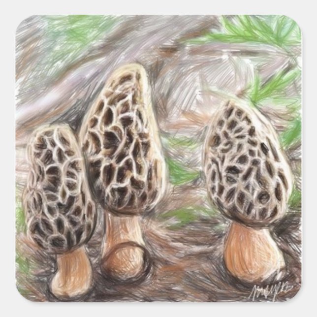 Morel Mushroom Stickers (Front)