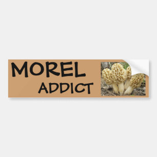 Morel mushrooms bumper sticker