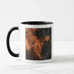 Moremi Wildlife Reserve, Botswana 2 Mug