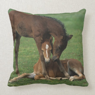 Morgan Foals Playing Throw Pillow