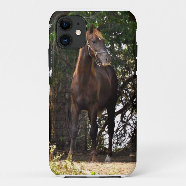 Morgan Horse Case-Mate iPhone Case (Back)