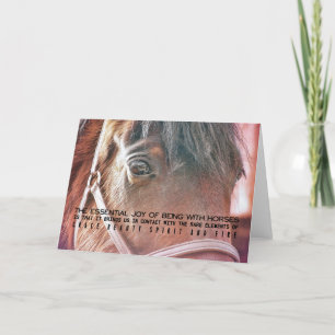 MORGAN HORSE Greeting Card