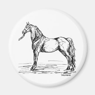 Morgan Horse Simple Sketch Magnet