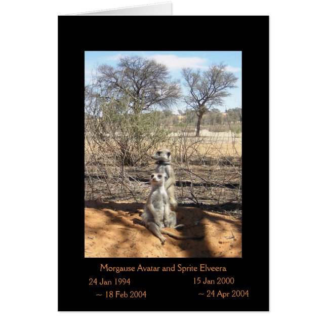 Morgause and Sprite - Legends Card (Front)