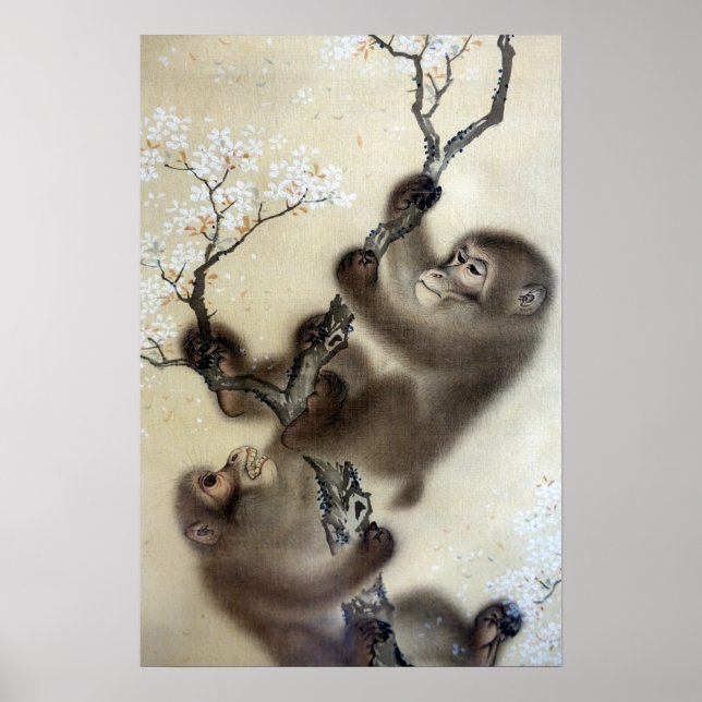 Mori Sosen Monkeys in a Blossoming Cherry Tree Poster (Front)