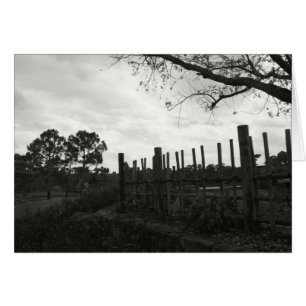 Morikami dans noir et le blanc