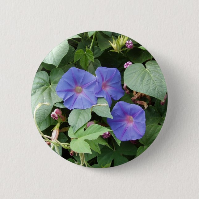 Moring Glory Flowers - Button (Front)