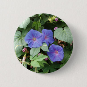 Moring Glory Flowers - Button