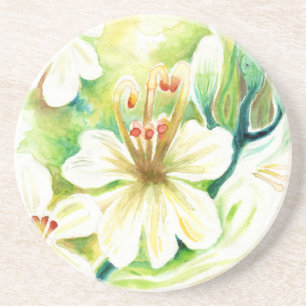 Moringa flowers coaster