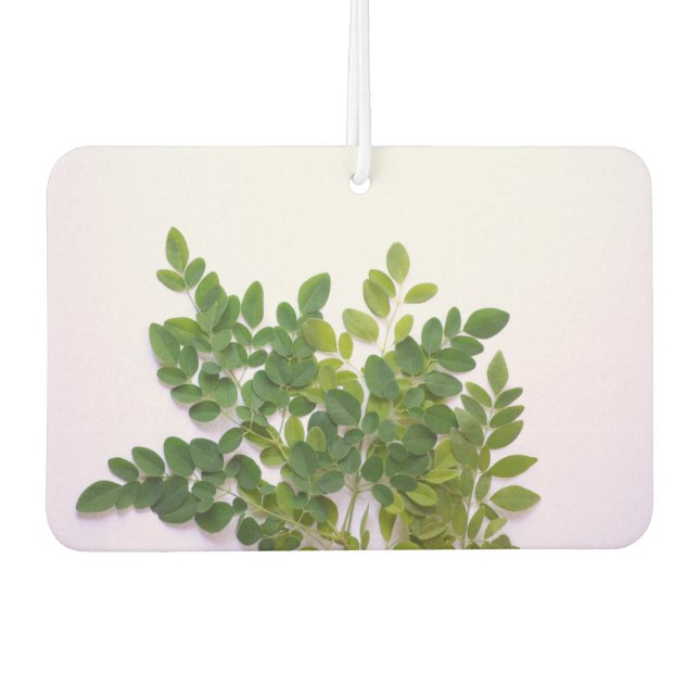 Moringa leaves with text space air freshener (Front)