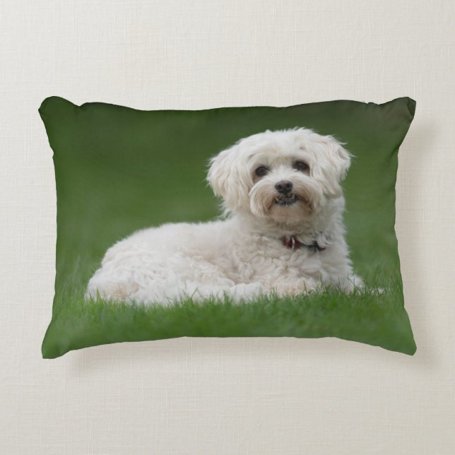 Moritz the Maltese Accent Pillow (Front)