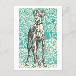Moriz Jung Greyhound Imprimer carte postale