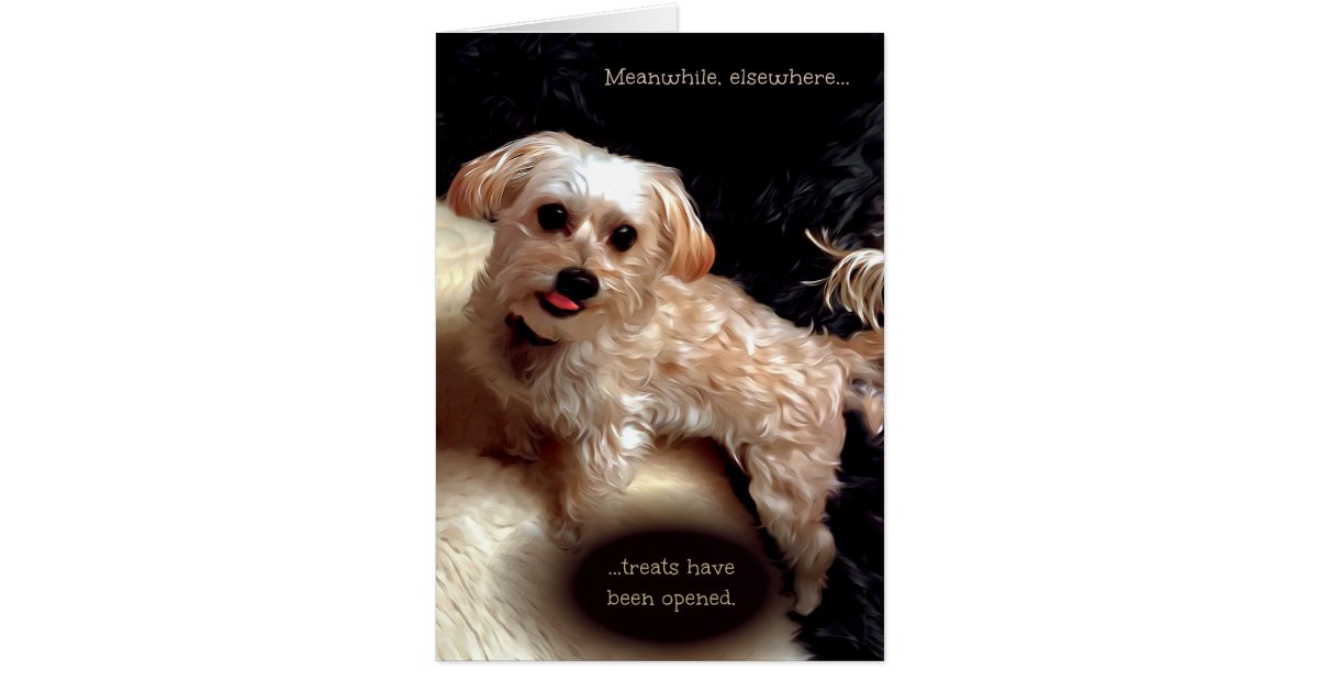 Morkie Dog Cute Funny Meme Puppy Birthday Card Zazzle Ca