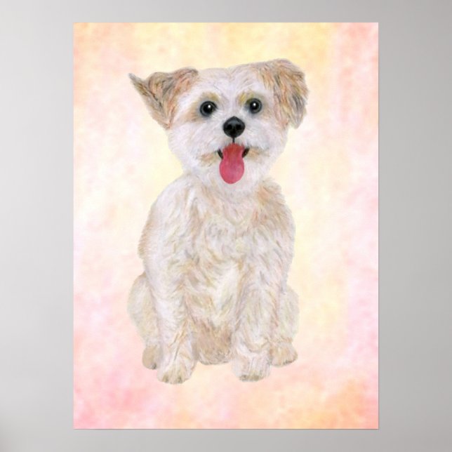 Morkie Dog Print With Colourful Background (Front)