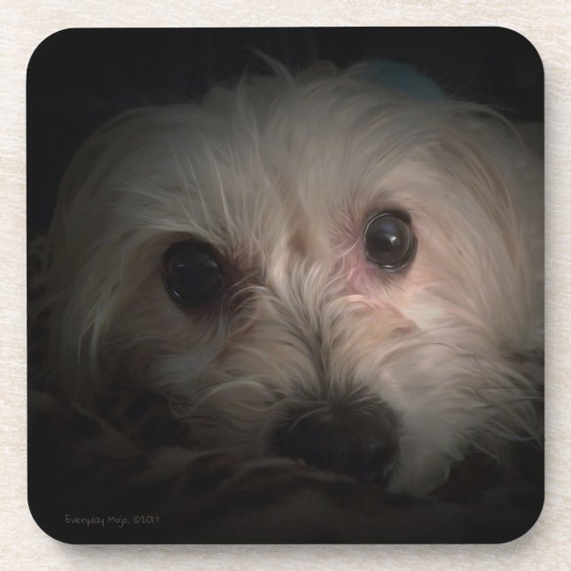 Morkie Dog Puppy Cute Rescue Coaster (Front)