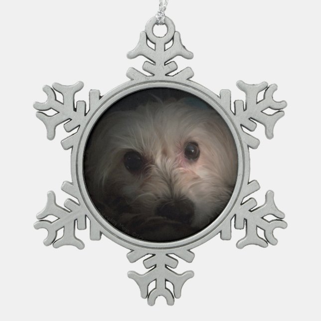 Morkie Dog Puppy Cute Rescue Ornament (Front)