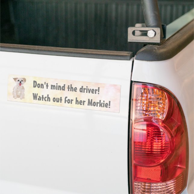 Morkie Funny Watch Out Bumper Sticker (On Truck)