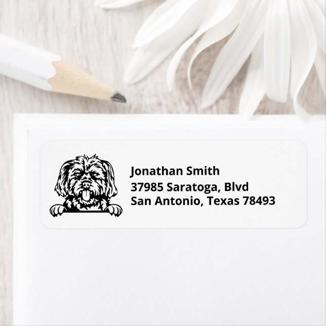MORKIE | Image on Return Address (Insitu)