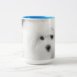 Morkie Mug