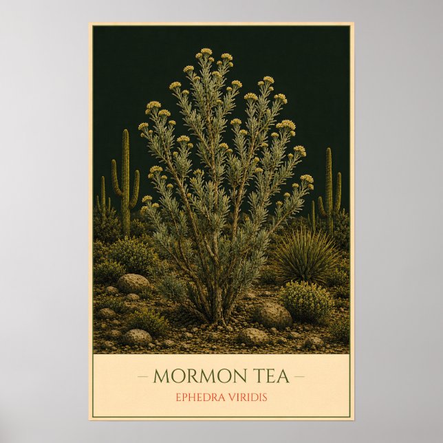 Mormon Tea Poster (Front)