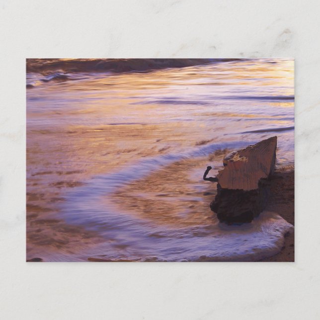 Morning Adrift Postcard (Front)