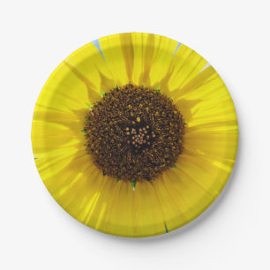 Morning Blaze Paper Plate